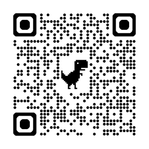 QR code AI lunch and learn Feb 2025